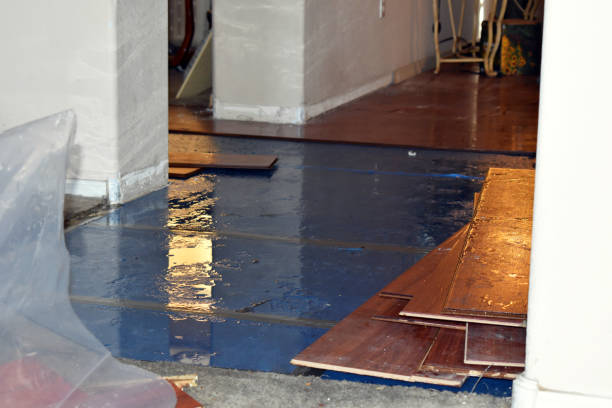 Professional Basement Flood Cleanup technician working in Madisonville, LA